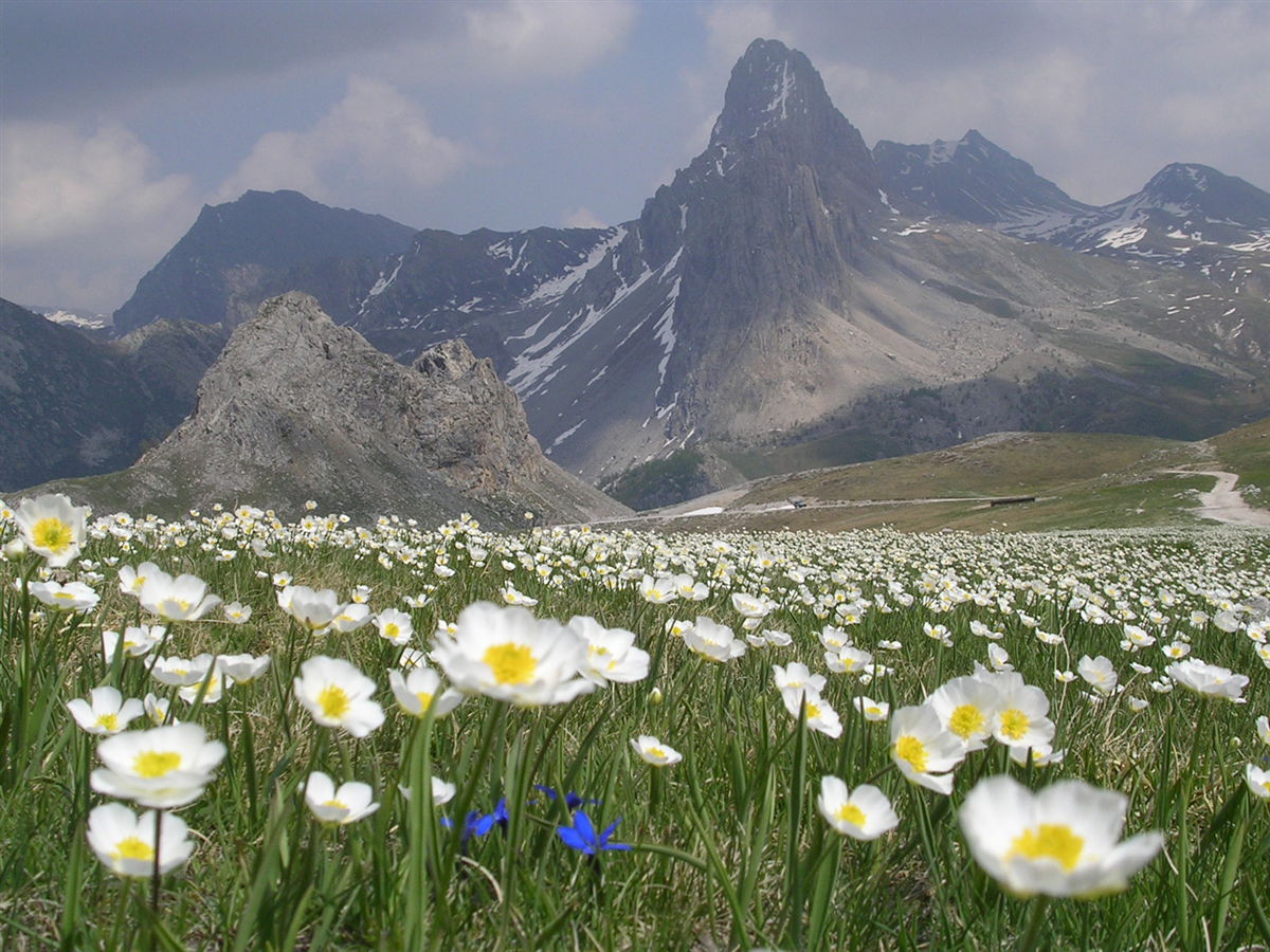 Colle del Preit Canosio