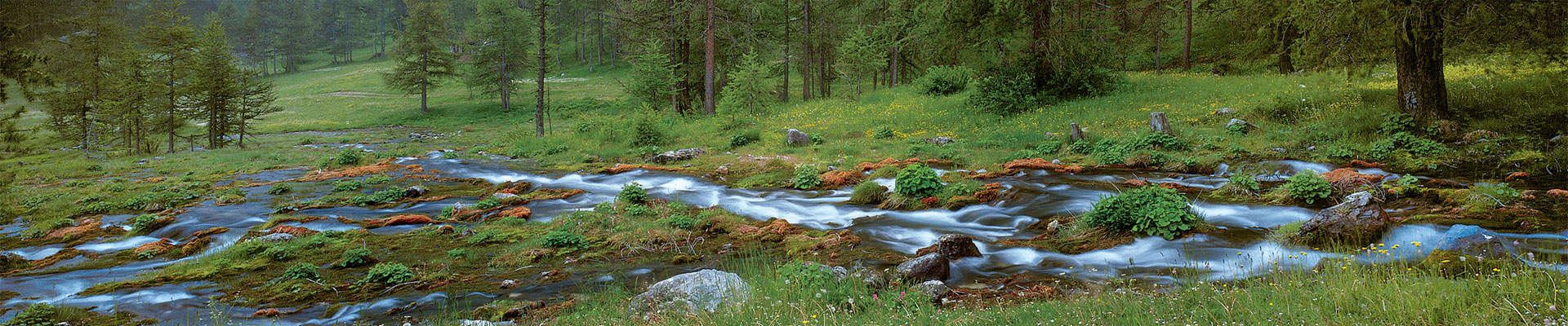 Sorgenti Maira Acceglio